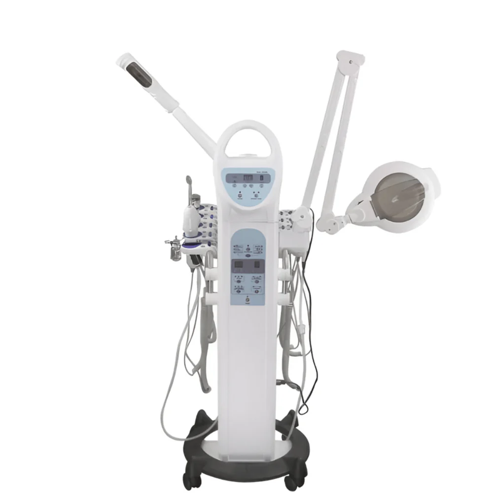 Galvanic Facial Machine H5050 view 2